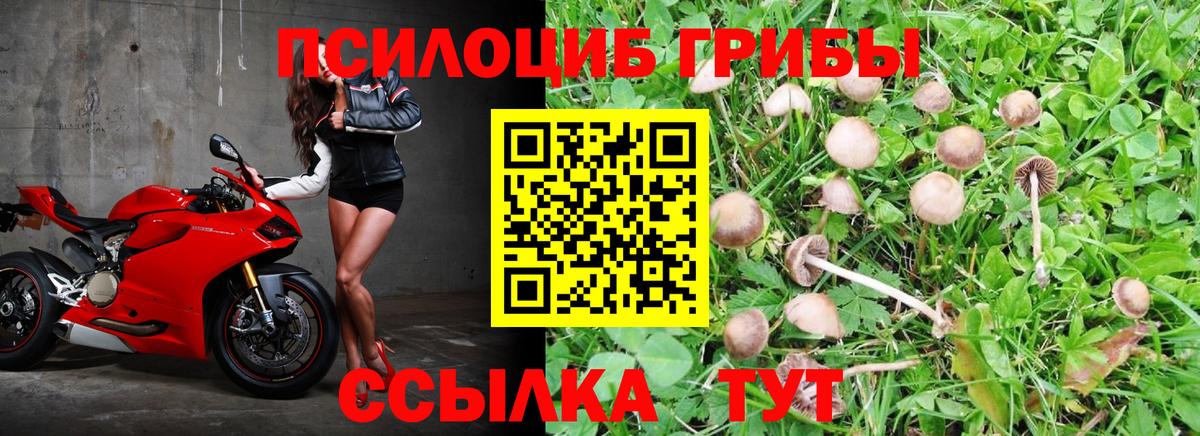 Псилоцибиновые грибы мицелий  Псилоцибиновые грибы Magic Shrooms  Вход с VPN  Таганрог 