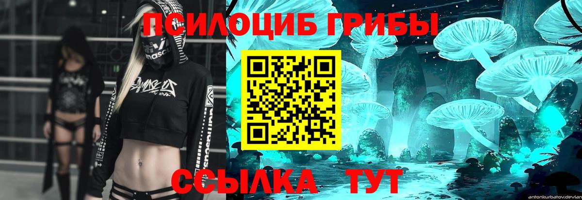 Галлюциногенные грибы Cubensis Таганрог